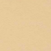 Lamiere plastificate S6